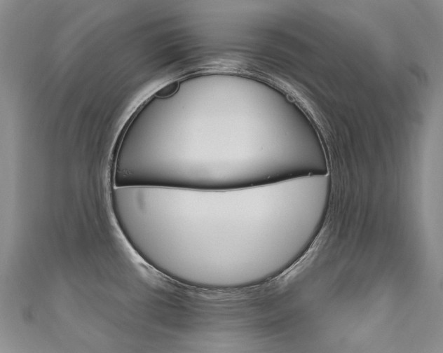 X0000111211434200907011041