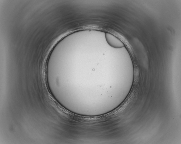 X0000111211435200907011041
