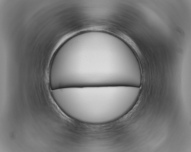 X0000111211436200907011041