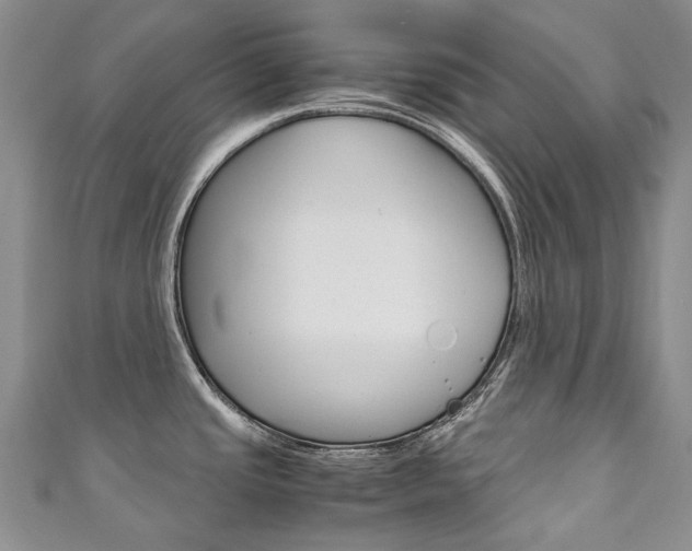 X0000111211437200907011042