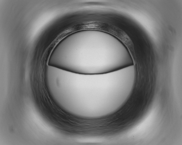 X0000111211438200907011042