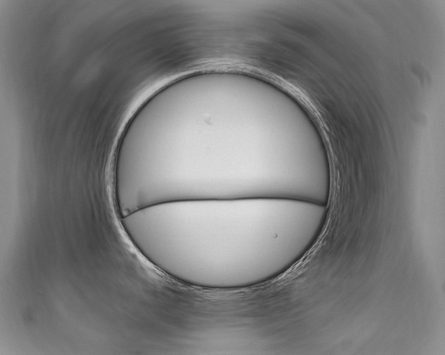 X0000111211440200907011042