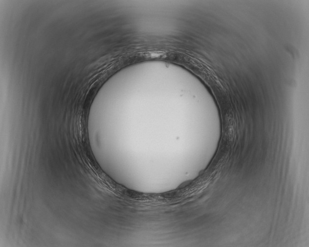 X0000111211442200907011041