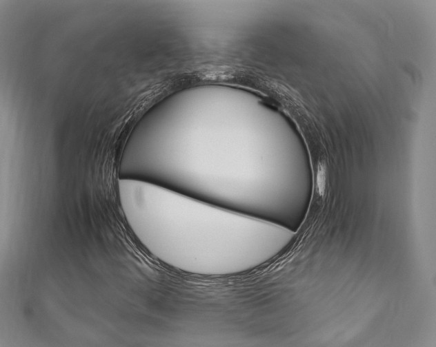 X0000111211444200907011041