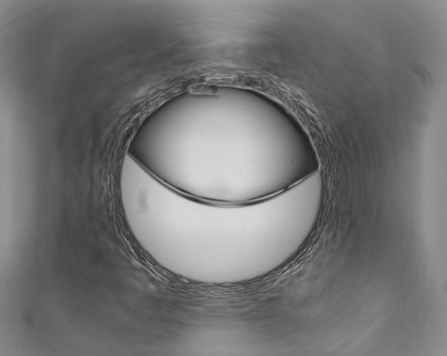 X0000111211445200907011041