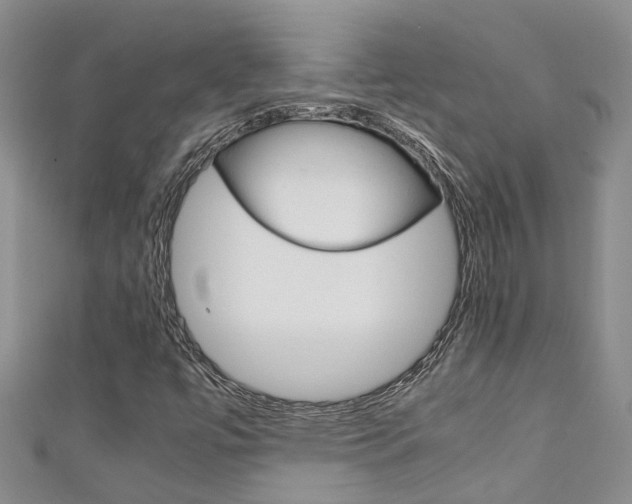 X0000111211447200907011041