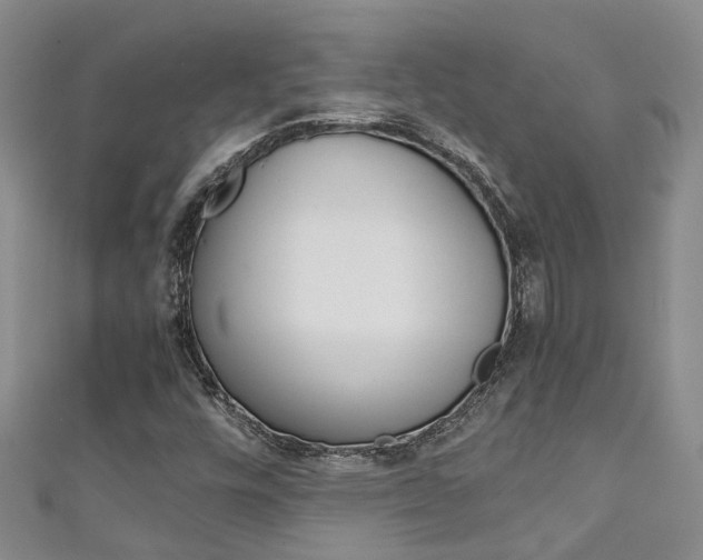 X0000111211448200907011041