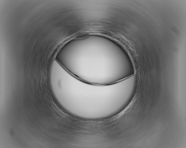 X0000111211449200907011041