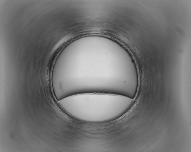 X0000111211450200907011041