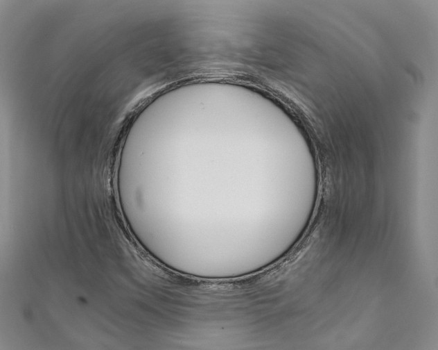 X0000111211451200907011041