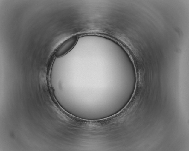 X0000111211452200907011041