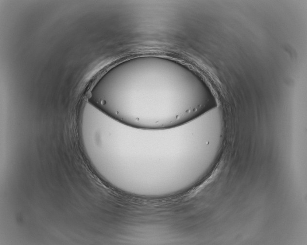X0000111211453200907011041