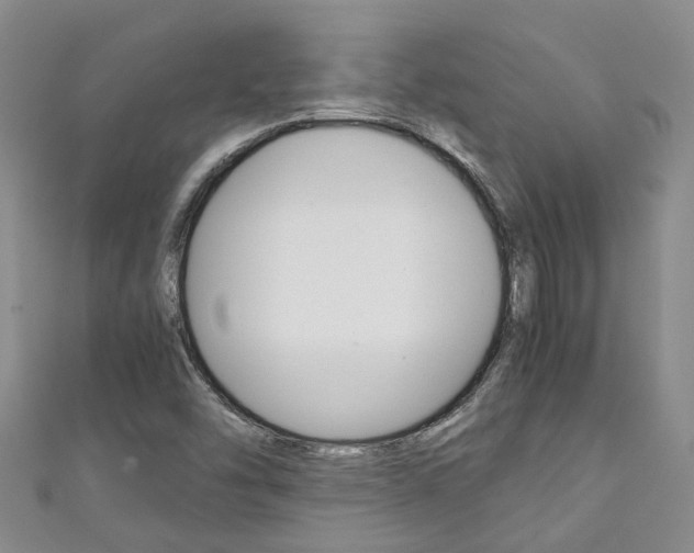 X0000111211454200907011041