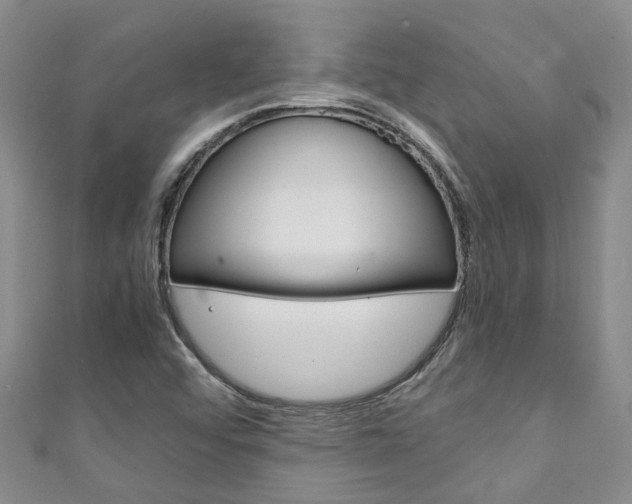 X0000111211456200907011041