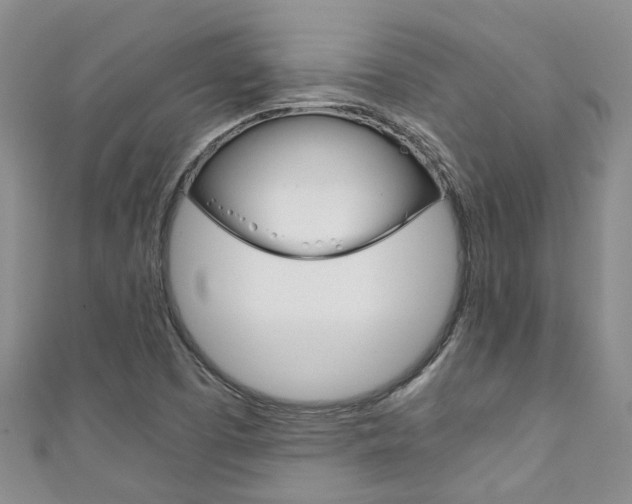 X0000111211457200907011041