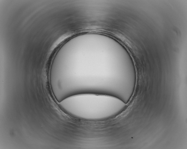 X0000111211458200907011041