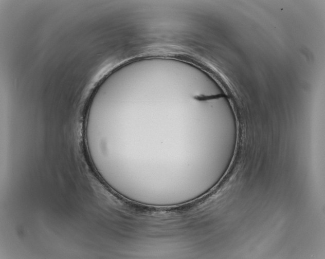 X0000111211459200907011041