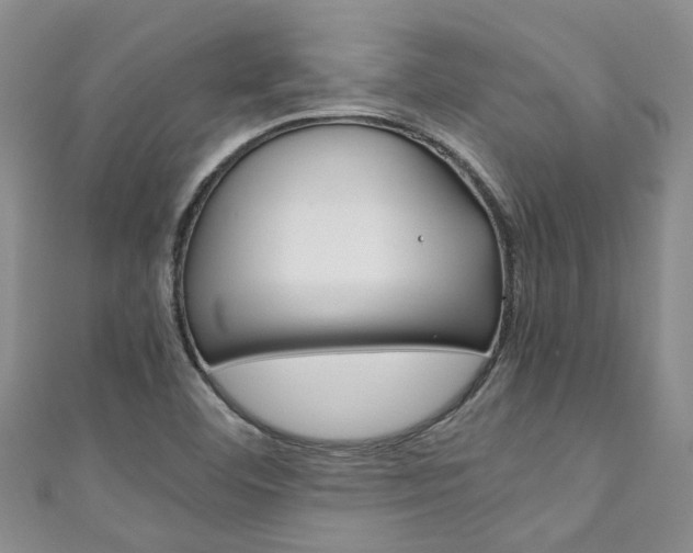 X0000111211460200907011041