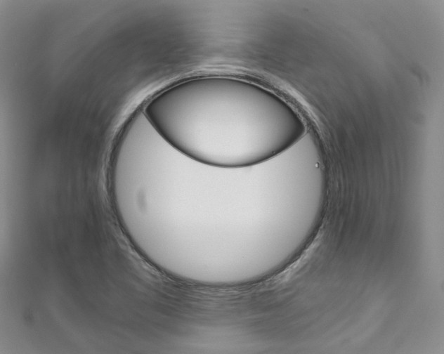 X0000111211461200907011041