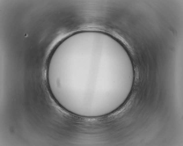X0000111211462200907011040