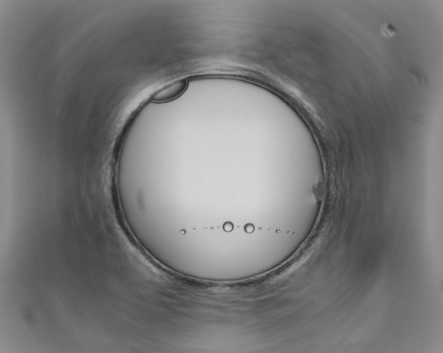 X0000111211463200907011040