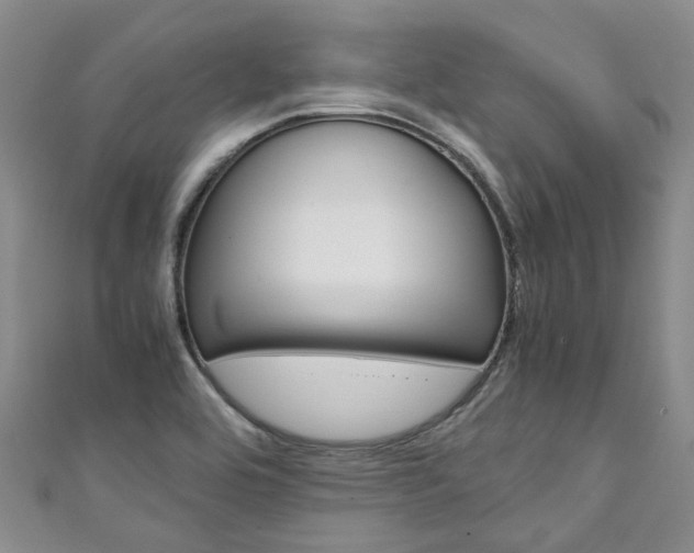 X0000111211464200907011040
