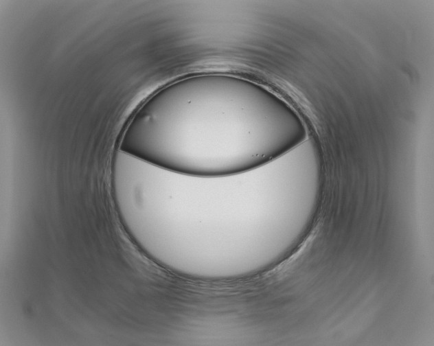 X0000111211465200907011040