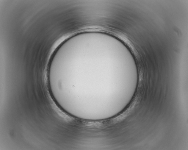 X0000111211466200907011040