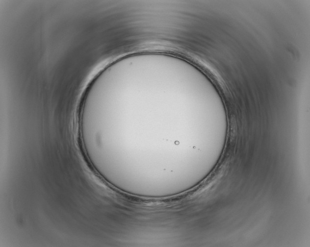 X0000111211467200907011040