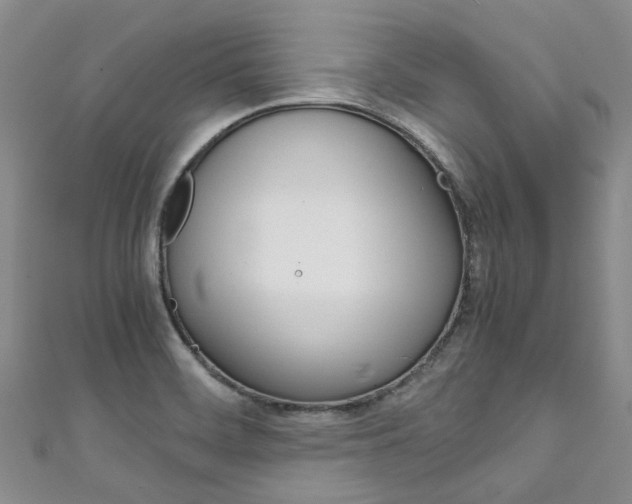X0000111211468200907011040