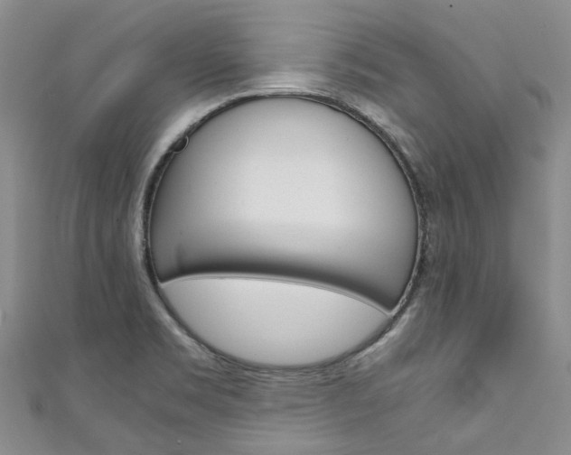 X0000111211469200907011040