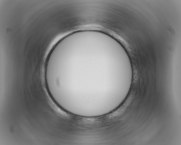X0000111211470200907011040