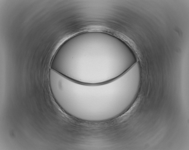 X0000111211473200907011040