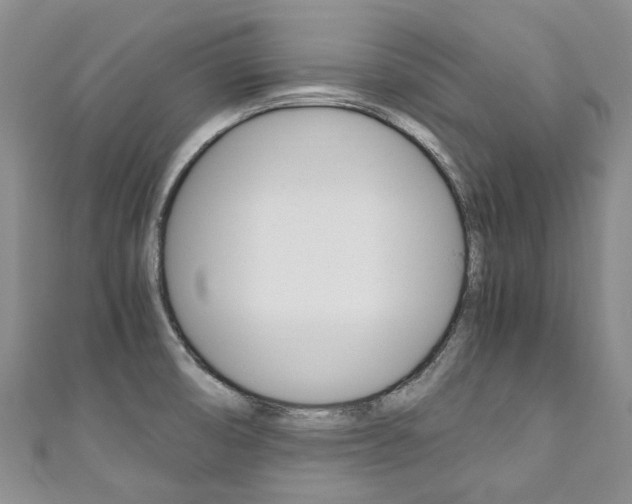 X0000111211474200907011040