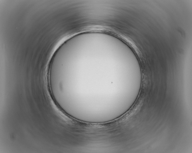 X0000111211475200907011040