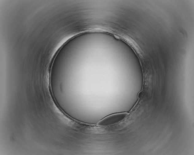 X0000111211476200907011040