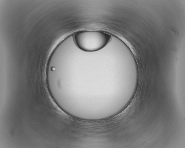 X0000111211477200907011040
