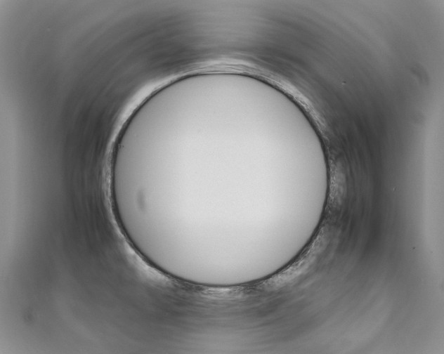X0000111211478200907011040