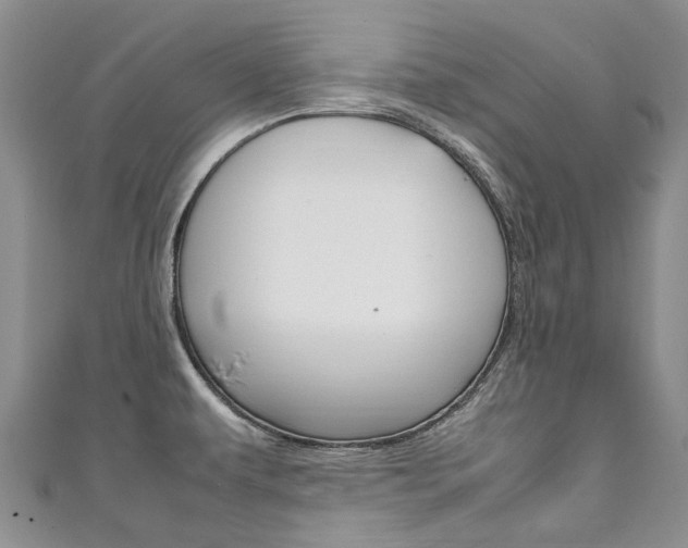 X0000111211479200907011040