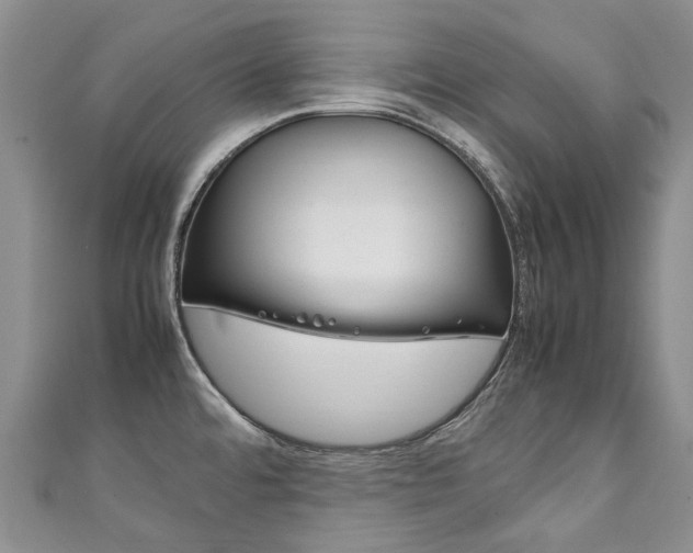 X0000111211480200907011040