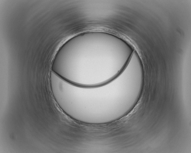 X0000111211481200907011040