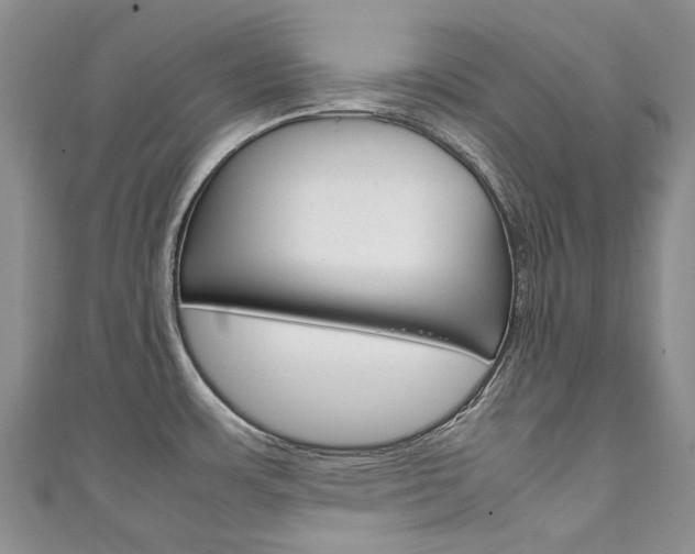 X0000111211483200907011040