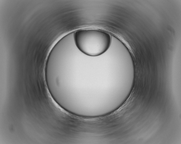 X0000111211484200907011040