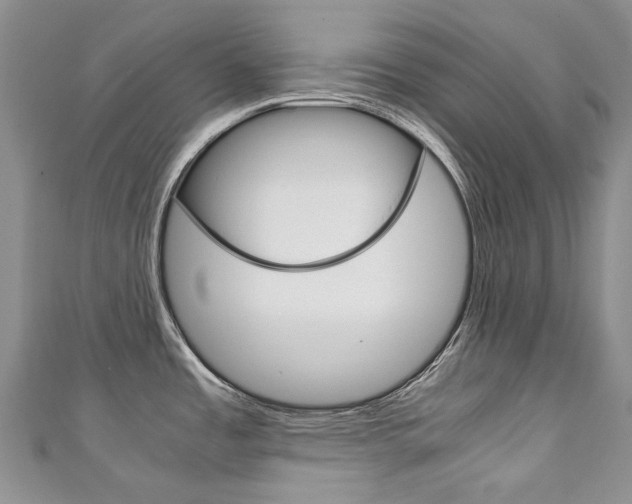X0000111211485200907011040
