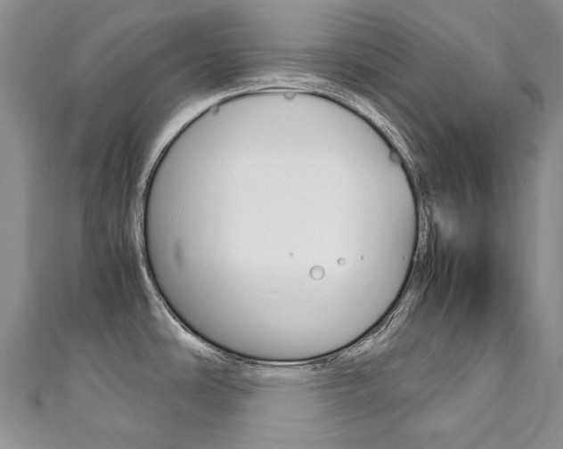 X0000111211486200907011040