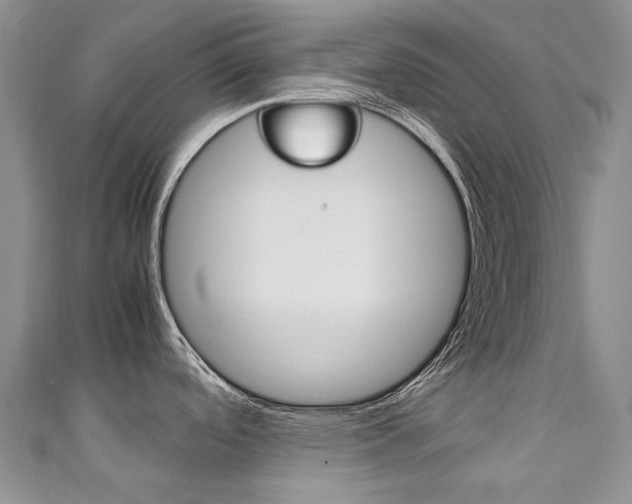 X0000111211488200907011040