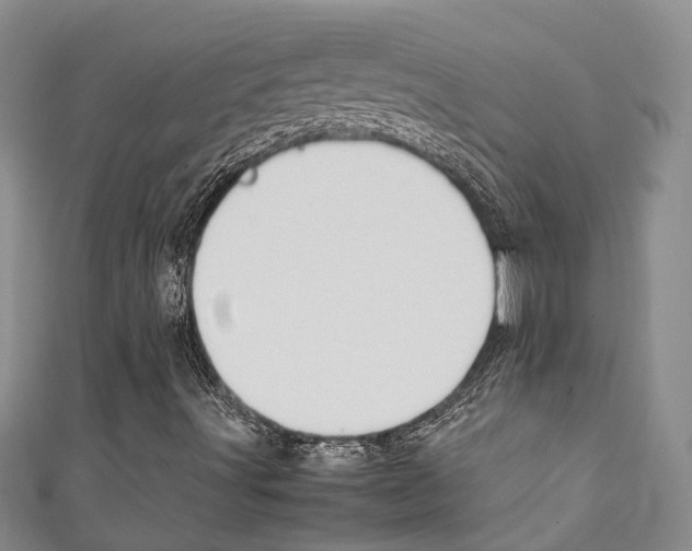 X0000111211491200907011040