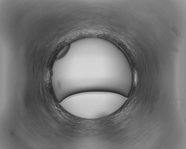 X0000111211492200907011040
