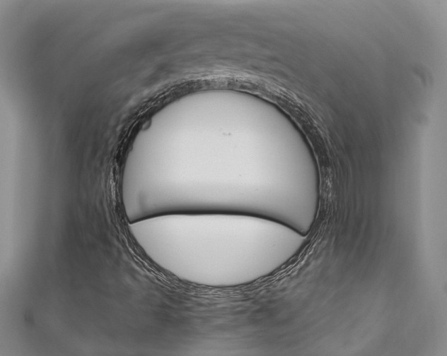 X0000111211493200907011040
