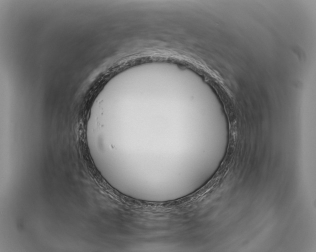 X0000111211495200907011040